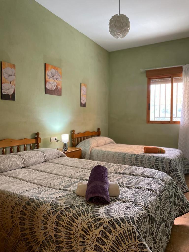 Casa Rural Puente Del Segura إلتشي دي لا سييرا المظهر الخارجي الصورة