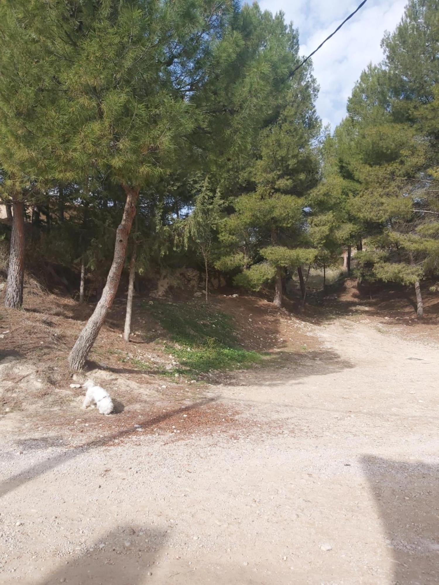 Casa Rural Puente Del Segura إلتشي دي لا سييرا المظهر الخارجي الصورة