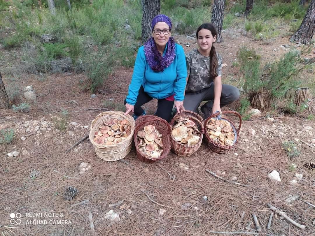 Casa Rural Puente Del Segura إلتشي دي لا سييرا المظهر الخارجي الصورة